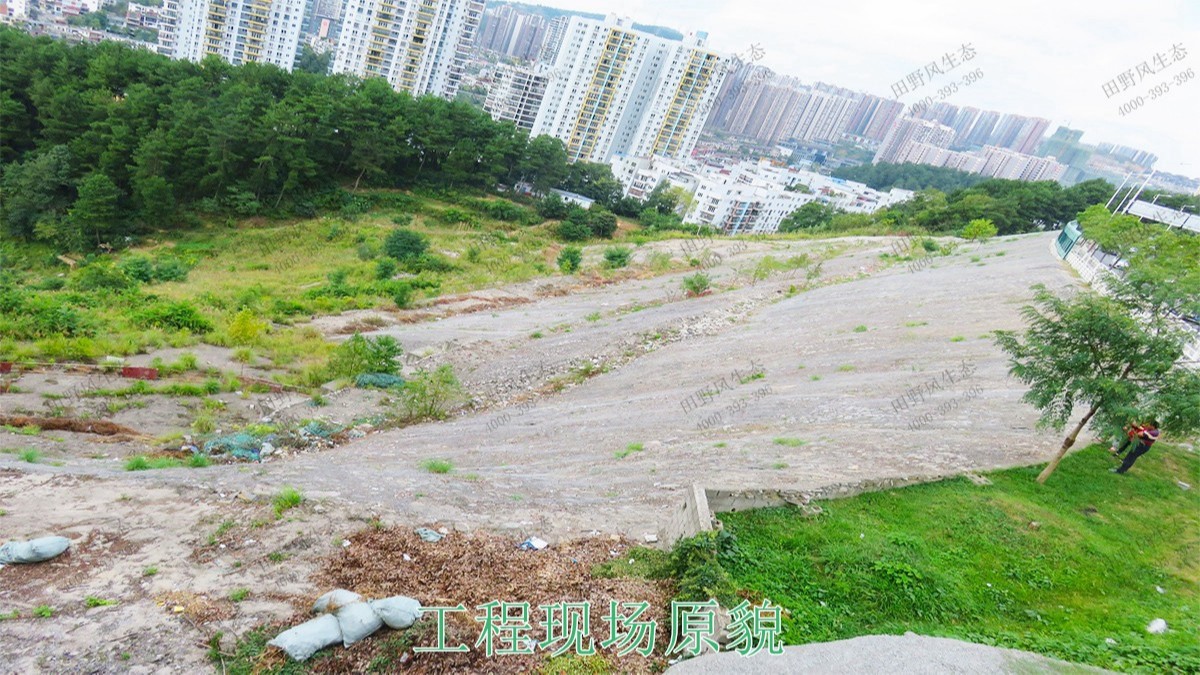 新豐縣工業(yè)園區(qū)復(fù)綠工程 新豐縣工業(yè)園區(qū)復(fù)綠工程