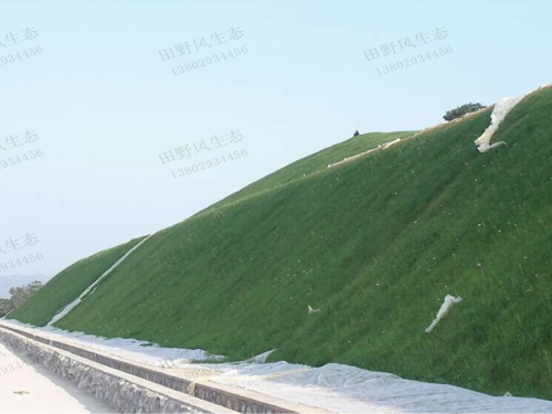 從莞高速公路邊坡復(fù)綠 從莞高速公路邊坡復(fù)綠