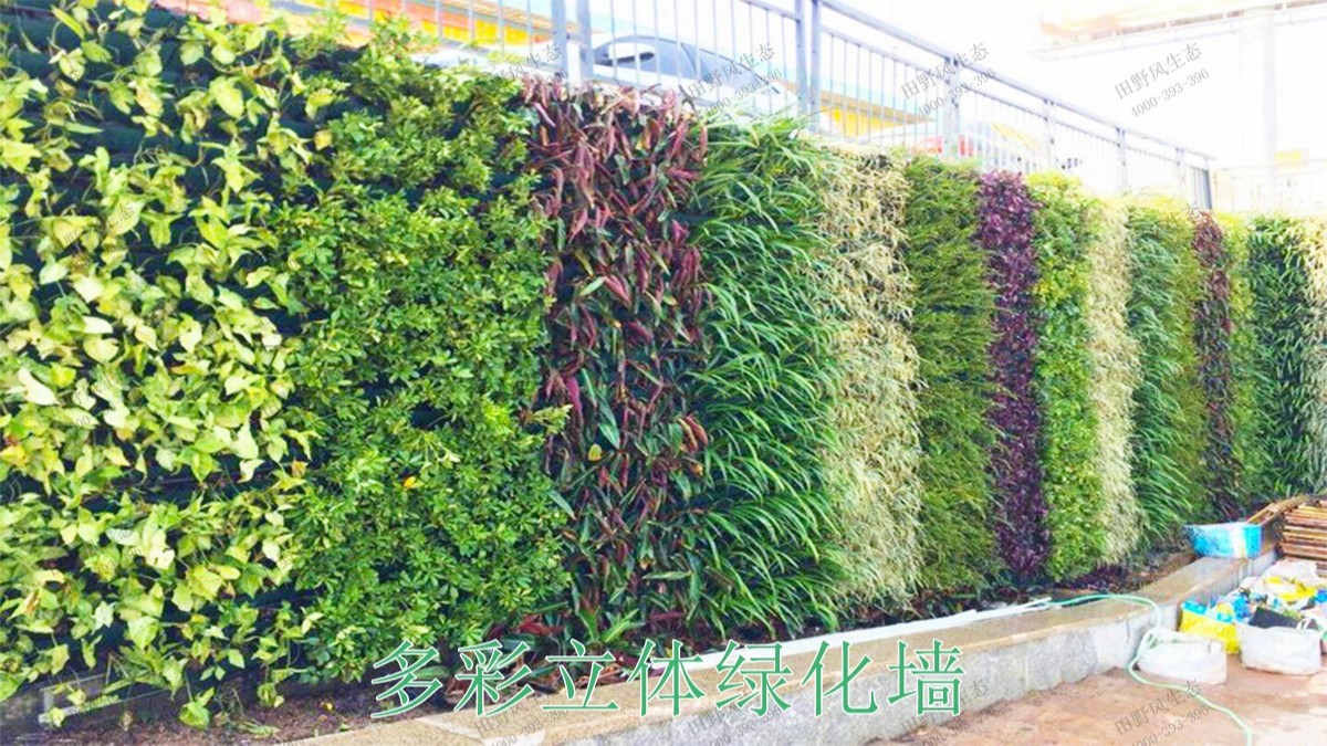 廣西南寧市政立體綠化工程 廣西南寧市政立體綠化工程