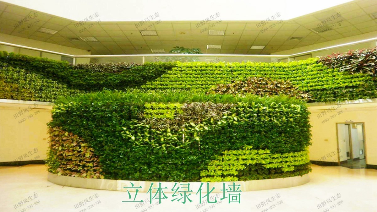 廣西南寧市政立體綠化工程 廣西南寧市政立體綠化工程