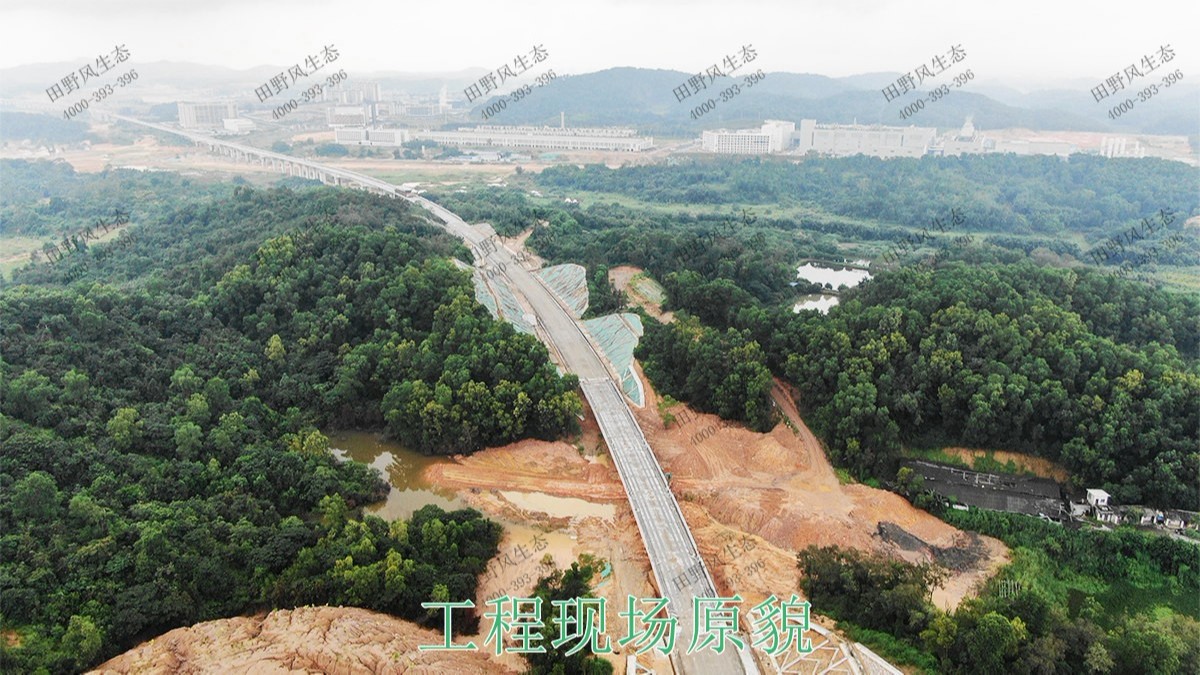 珠三角環(huán)線輕鐵路邊坡復(fù)綠工程 珠三角環(huán)線輕鐵路邊坡復(fù)綠工程