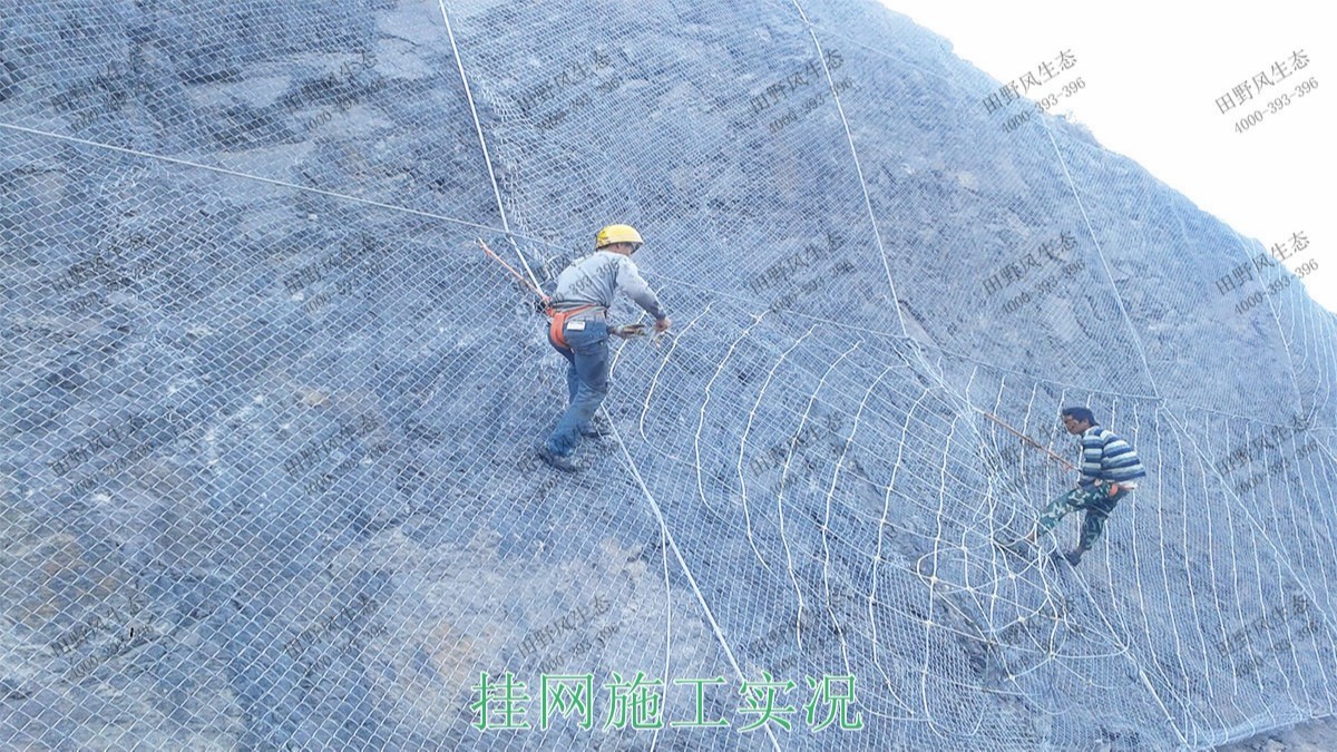 珠三角環(huán)線輕鐵路邊坡復(fù)綠工程 珠三角環(huán)線輕鐵路邊坡復(fù)綠工程