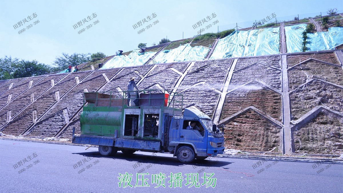 珠三角環(huán)線輕鐵路邊坡復(fù)綠工程 珠三角環(huán)線輕鐵路邊坡復(fù)綠工程