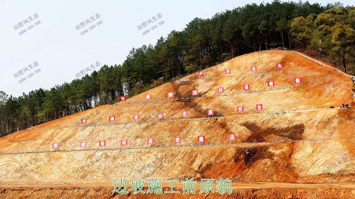 貴廣高鐵廣東段高鐵路邊坡噴草