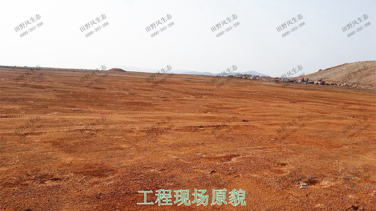 福建龍巖鐵礦山邊坡復(fù)綠 福建龍巖鐵礦山邊坡復(fù)綠