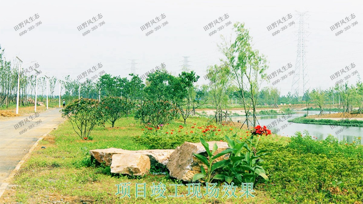 中山翠享濕地公園河道邊坡植草 中山翠享濕地公園河道邊坡植草