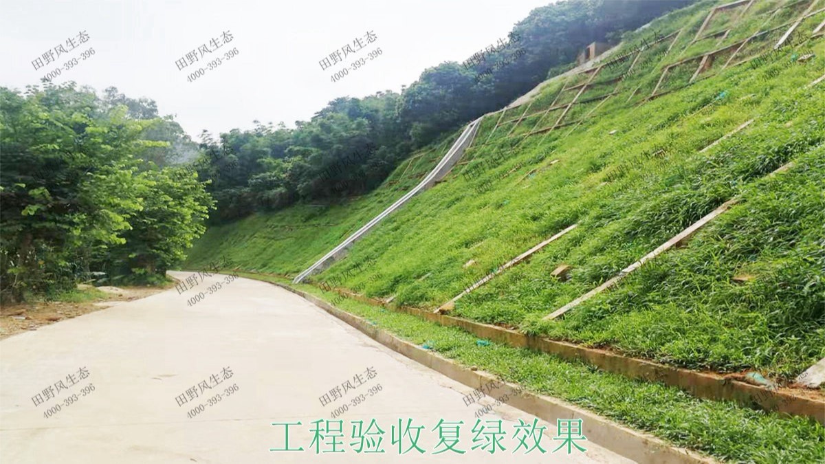 廣州白水山森林公園生態(tài)修復 廣州白水山森林公園生態(tài)修復
