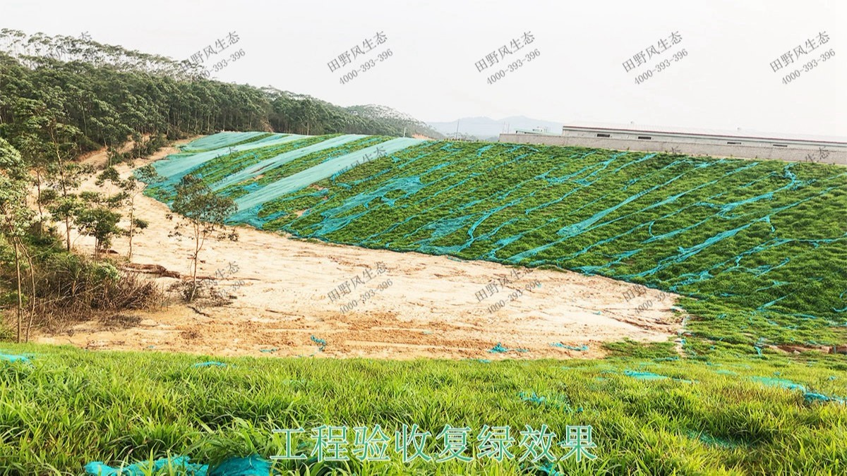 海大集團(tuán)養(yǎng)豬基地邊坡復(fù)綠 海大集團(tuán)養(yǎng)豬基地邊坡復(fù)綠