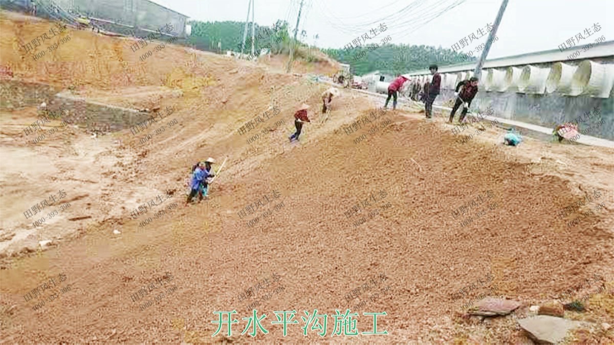 海大集團(tuán)養(yǎng)豬基地邊坡復(fù)綠 海大集團(tuán)養(yǎng)豬基地邊坡復(fù)綠