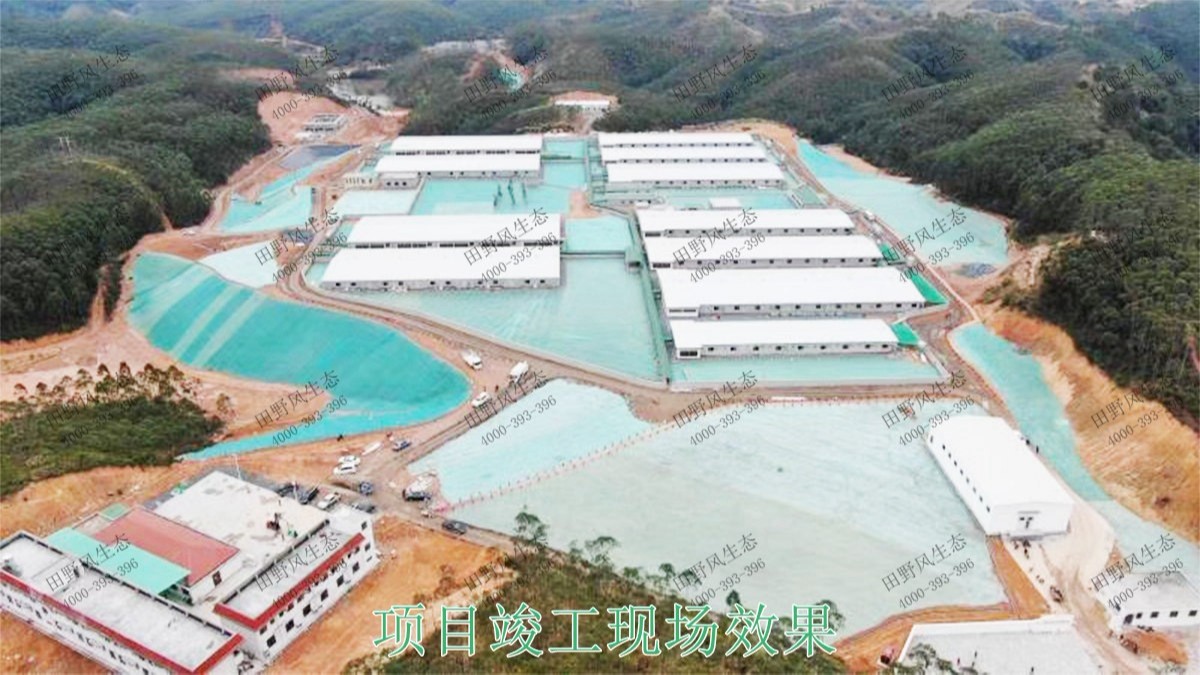 海大集團(tuán)養(yǎng)豬基地邊坡復(fù)綠 海大集團(tuán)養(yǎng)豬基地邊坡復(fù)綠