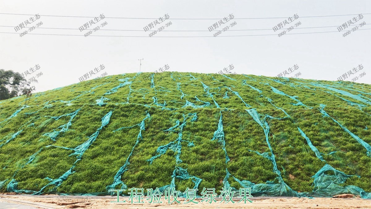 海大集團(tuán)養(yǎng)豬基地邊坡復(fù)綠 海大集團(tuán)養(yǎng)豬基地邊坡復(fù)綠