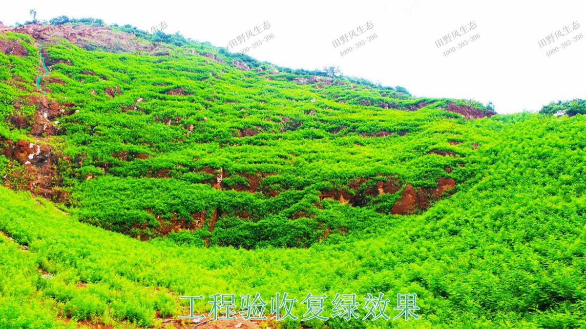 高州市泗水鎮(zhèn)林豐石場(chǎng)生態(tài)修復(fù)工程 高州市泗水鎮(zhèn)林豐石場(chǎng)生態(tài)修復(fù)工程