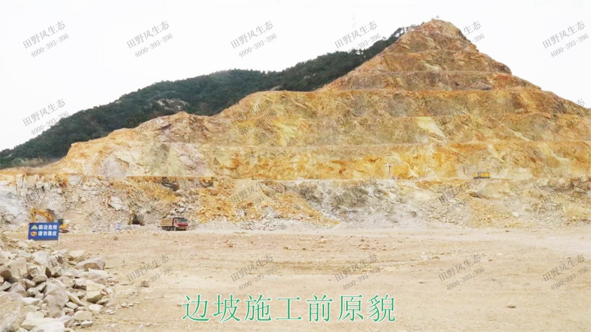 高州市泗水鎮(zhèn)林豐石場(chǎng)生態(tài)修復(fù)工程 高州市泗水鎮(zhèn)林豐石場(chǎng)生態(tài)修復(fù)工程