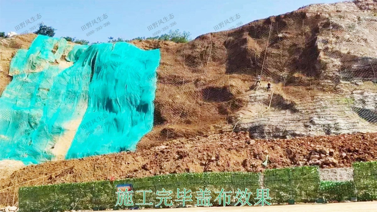 高州市泗水鎮(zhèn)林豐石場(chǎng)生態(tài)修復(fù)工程 高州市泗水鎮(zhèn)林豐石場(chǎng)生態(tài)修復(fù)工程