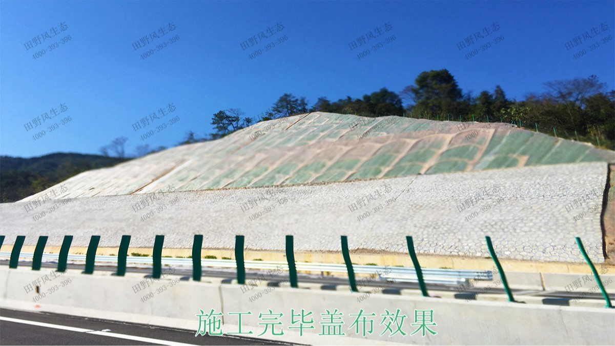 惠大高速惠州段公路邊坡噴播工程 惠大高速惠州段公路邊坡噴播工程