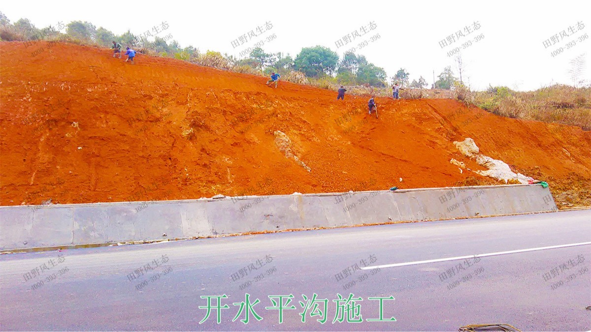 梅龍高速梅州段道路邊坡植草工程 梅龍高速梅州段道路邊坡植草工程
