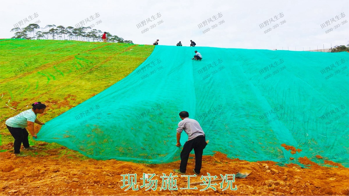 平興高速五華段公路邊坡掛網(wǎng)復(fù)綠 平興高速五華段公路邊坡掛網(wǎng)復(fù)綠