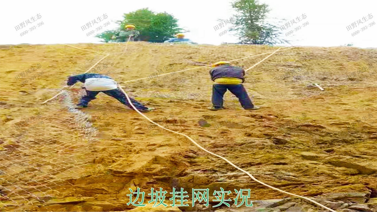 清連高速清遠段高速公路邊坡復(fù)綠工程 清連高速清遠段高速公路邊坡復(fù)綠工程