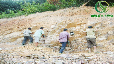 礦山生態(tài)修復(fù)，四大操作！助您實現(xiàn)綠色發(fā)展