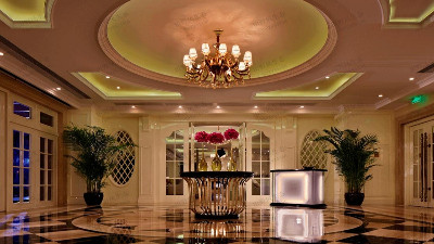 酒店綠植租擺 酒店綠植租擺