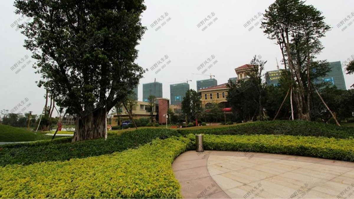 廣州融創(chuàng)文旅城小區(qū)植物花卉養(yǎng)護案例 廣州融創(chuàng)文旅城小區(qū)植物花卉養(yǎng)護案例