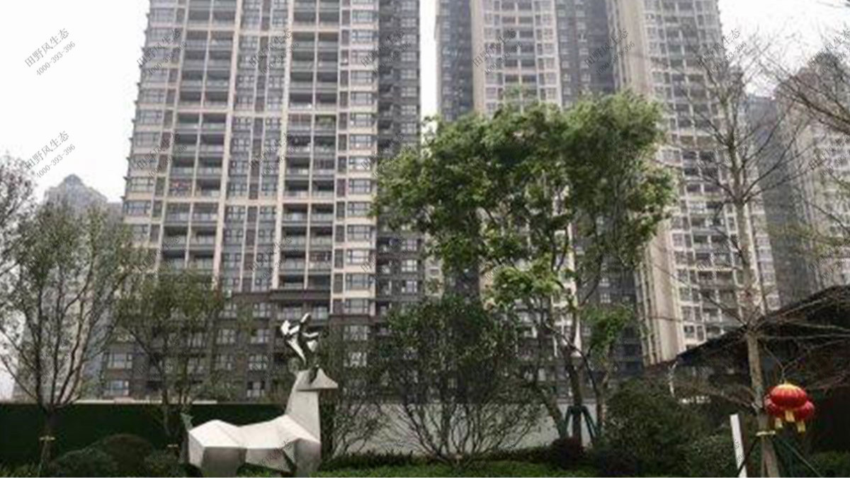 廣州融創(chuàng)文旅城小區(qū)植物花卉養(yǎng)護案例 廣州融創(chuàng)文旅城小區(qū)植物花卉養(yǎng)護案例