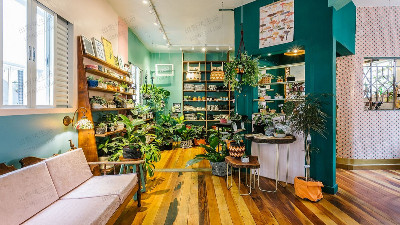 咖啡店植物租擺 咖啡店植物租擺