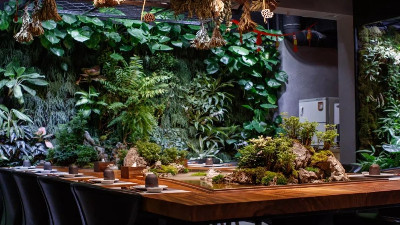 咖啡店植物租擺 咖啡店植物租擺