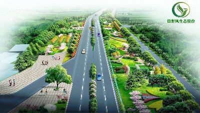 公路綠化種樹的好處你知道嗎？